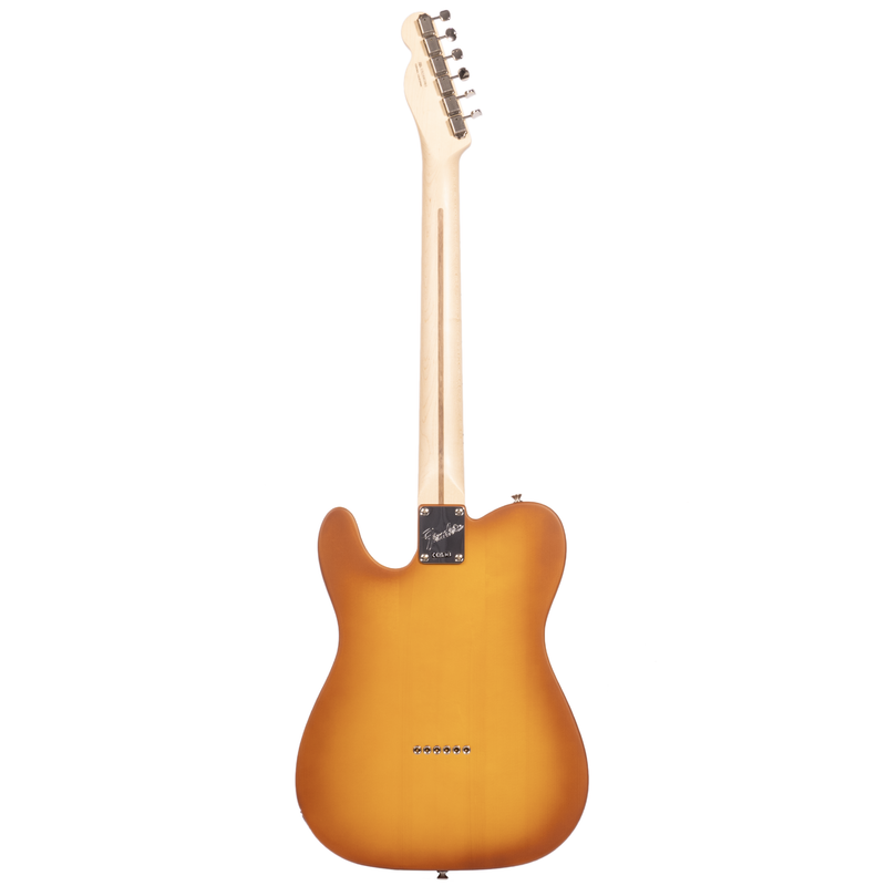 Fender American Performer Telecaster Electric Guitar, Spruce, Honey Burst