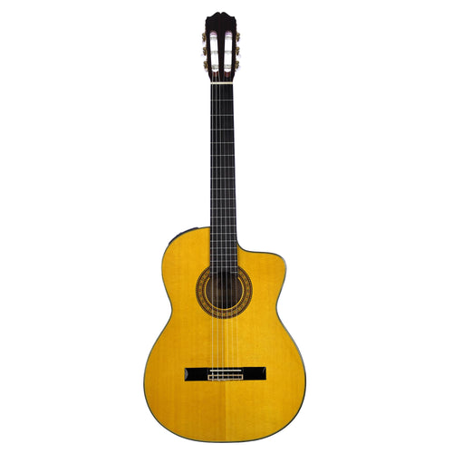 Takamine classical on sale