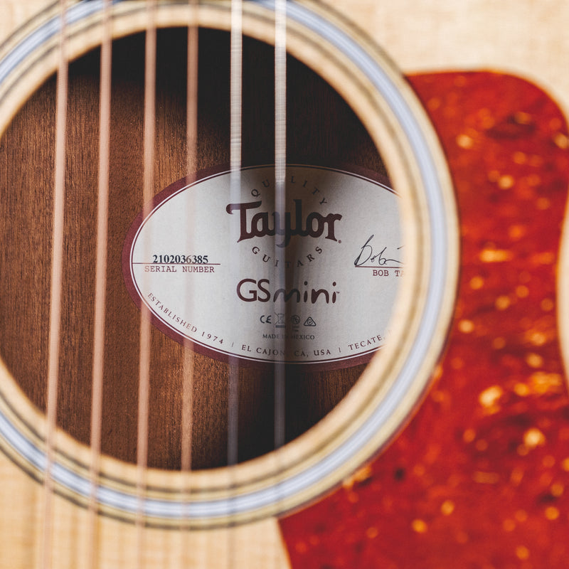 Taylor gs online mini serial number