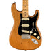 Fender American Professional II Stratocaster Maple, Roasted Pine